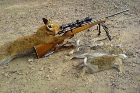 Hola a todos
Lo primero daros las gracias de antemano
Un amigo se compró un rifle de segundamano
La dichosa 110