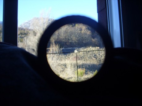 Que opinais de este visor para cazar en batida?
https://www.opticsplanet.net/bushnell-trophy-1-4x24-matte-illuminated-dot-30mm-tube-riflescope-731424m.html
Haria 151