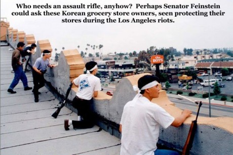 Informo.

La Senadora liberal por California, Dianne Feinstein, está promoviendo una nueva prohibición 100