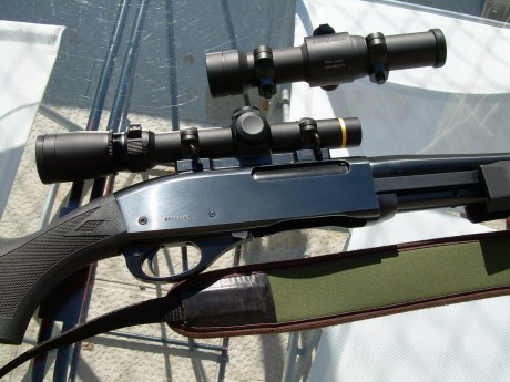 Hola hay alguien que tenga este rifle en corredera? y que tal le va??, precio???

lo digo porque me estoy 171