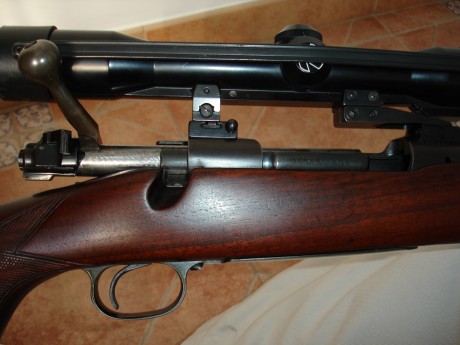 Hola a todos

Me gustaría pediros consejo, actualmente tengo un cerrojo SB 300WM, me gusta el calibre 100