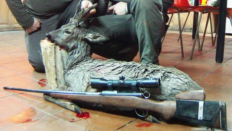 Hola amigos! me podrias dar vuestra opionion sobre que puntas en cal.308 para cazar (150-180grains)son 140