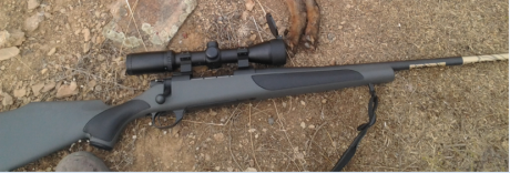 Hablando del tema para el compañero que quiere comprar un rifle para sus clientes que vengan sin arma 100