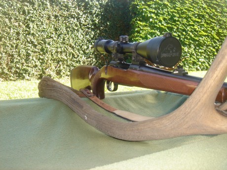 Hablando del tema para el compañero que quiere comprar un rifle para sus clientes que vengan sin arma 160