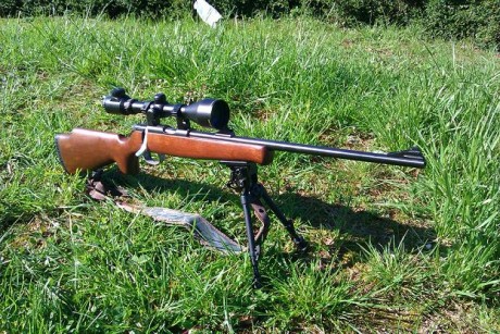 hola eh visto hyo en una armeria una norinco al parecer nueva... es otra copia de una cz, nose cual, la 130