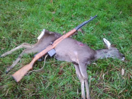 pues eso me gustaria que pondriams todos las piezas que tengams con nuestros mosines, kar´s ,svt 40 zastabas 01