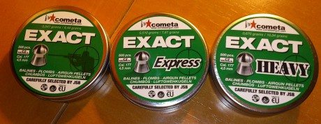 ayudo a un amigo a elegir su primera carabina. le gusta el sistema gas ram por considerarlo intermedio, 10