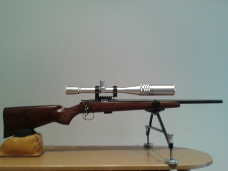 Pos nada os cuento mi experiencia con esta carabina del calibre 22 en F-Calss Rimfire a 100m.
La carabina 02