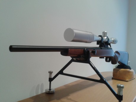 Pos nada os cuento mi experiencia con esta carabina del calibre 22 en F-Calss Rimfire a 100m.
La carabina 00