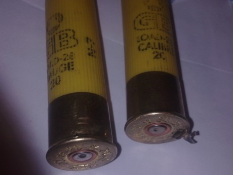 Hola a todos os  voy a exponer mi experiencia  con cartuchos GB calibre 20 que en mi opinión creo que 00