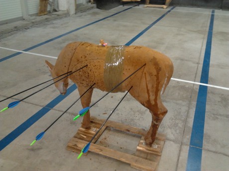 Ayer mismo pasé por la arquería y, siguiendo las recomendaciones de mi instructor, compré mi primer arco. 60