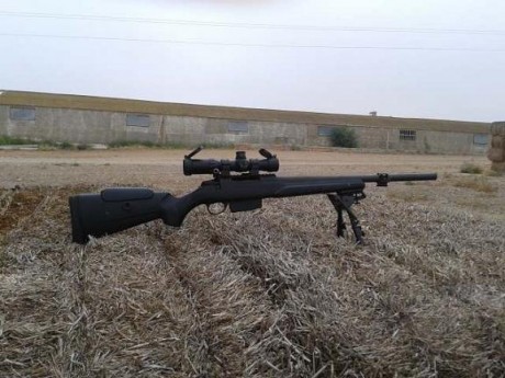 Hola compañeros buenas tardes, he solicitado la licencia D para rifle, y ojeando por la red, he visto 140