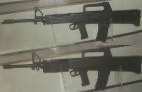 Al ver las fotos,lo poco que se aprecia es como un SA-80 britanico con alza/asa y punto del M16... y sin 01