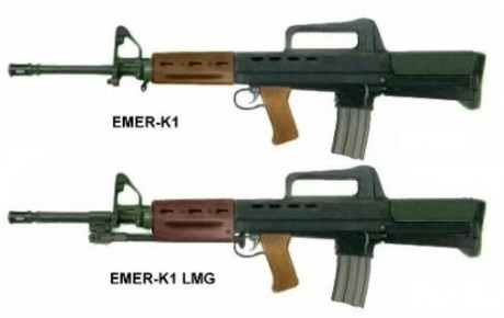 Al ver las fotos,lo poco que se aprecia es como un SA-80 britanico con alza/asa y punto del M16... y sin 00