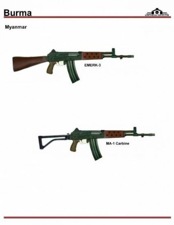 Al ver las fotos,lo poco que se aprecia es como un SA-80 britanico con alza/asa y punto del M16... y sin 11