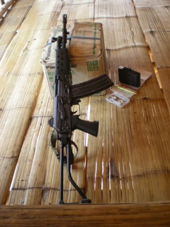 Al ver las fotos,lo poco que se aprecia es como un SA-80 britanico con alza/asa y punto del M16... y sin 42