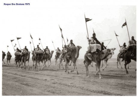 Vamos a intentar hacer un tema con fotos historicas y curiosas de las FFCCS, S.P. y F.A.S.

Saludos. 02