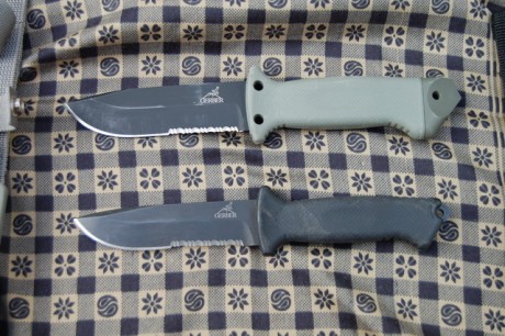 Hola a todos. Espero que me podais ayudar: que os parece el Gerber LFM II como cuchillo de campo/supervivencia? 30