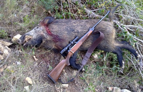 Buenos pues ala ya esta abierto el hilo del rifle incomprendido.
Pongo las fotos como lo tengo de momento, 20