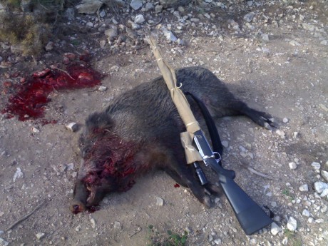 Buenos pues ala ya esta abierto el hilo del rifle incomprendido.
Pongo las fotos como lo tengo de momento, 100