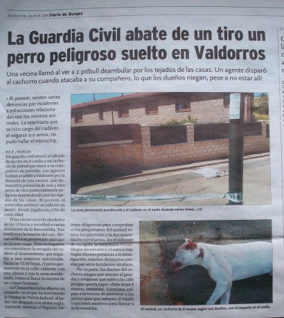 https://elventano.blogspot.com.es/2013/07/la-policia-detiene-un-hombre-y-mata-su.html 90