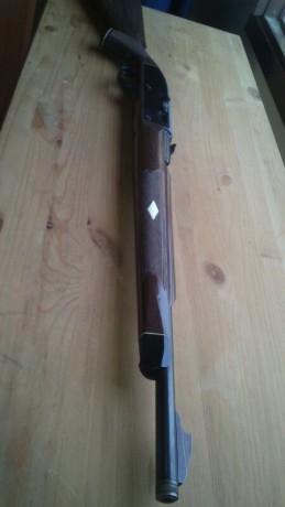 hola, a todos, me ofrecen una carabina del 22 , creo que es el modelo remington nylon 66, el acabado normal...
Me 00
