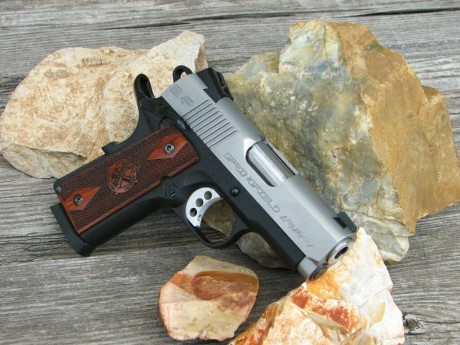 Hola a todos.

Queria saber si esta pistola se vende en España.

Es muy cara pero es una Belleza a mi 01