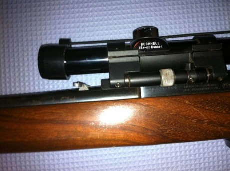 Hola, me he comprado una carabina ruger 44, el modelo antiguo, me viene con un visor bushnell de 1, 5-4 02