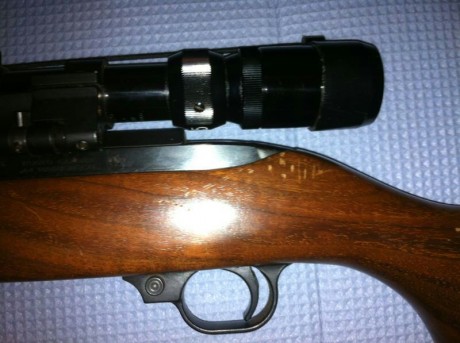 Hola, me he comprado una carabina ruger 44, el modelo antiguo, me viene con un visor bushnell de 1, 5-4 01