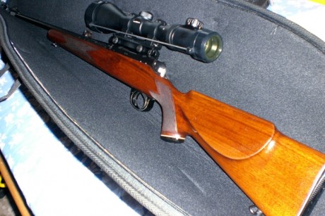 soy novato en esto y me gustaria que me aconsejarais hala hora de comprar un rifle adecuado aun novato 50
