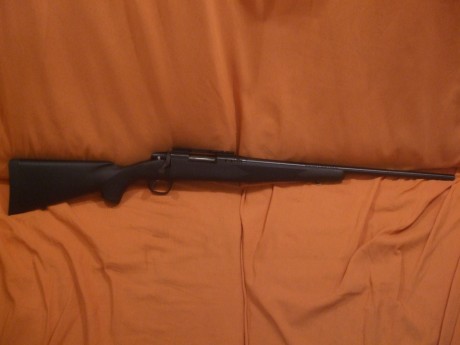 soy novato en esto y me gustaria que me aconsejarais hala hora de comprar un rifle adecuado aun novato 110