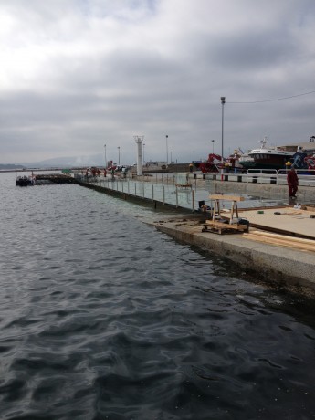 Desde mi ayuntamiento,Vilanova de Arousa, una villa marinera de la Ria de Arosa, y desde una autentica 01