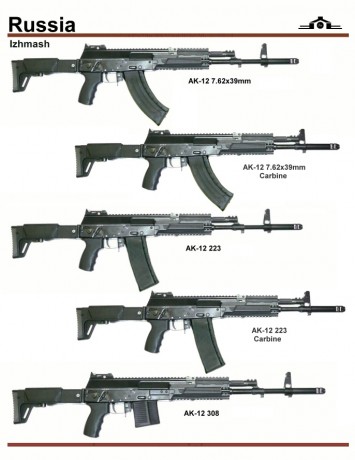 Se le supone que hasta el 2050 tenemos kalaka para rato...

El nuevo, el AK-12, tira en todos lo calibres 31