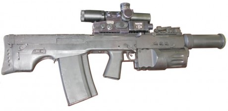 Se le supone que hasta el 2050 tenemos kalaka para rato...

El nuevo, el AK-12, tira en todos lo calibres 40
