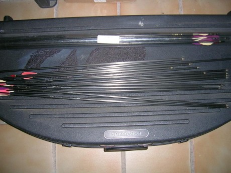 Hola vendo este arco de poleas Matheuss 55lbs con equipo para iniciarse a buen nivel.
Acesorios:

Dos 11
