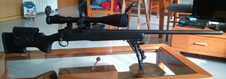 Buenos días a todos,,,,,,,

Quiero comprar este rifle y me gustaría saber que visor le viene mejor. Presupuesto 30