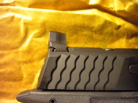 Pues eso, me estoy mirando esta monada:

https://www.smith-wesson.com/webapp/wcs/stores/servlet/Product4_750001_750051_814076_-1_757766_757752_757751_ProductDisplayErrorView_Y

https://www.borchers.es/competicion/ficha.php?cat=2&scat=6&olimit=0&id=1612

y 130