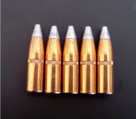 Buenos días.

Alguien sabe donde poder encontrar puntas del .30  winchester silvertip (en 180gr)?.

Me 10