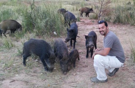 Seguramente algunos ya habréis visto muchos de estos vídeos, pero he querido hacer una antología.
Para 80