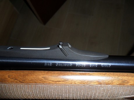 Hola a todos, perdonar por mi ignorancia pero acabo de comprar un rifle y no se que tal es según me dijo 10