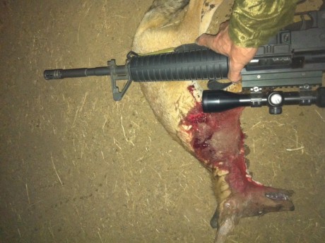 En vista de que los de Borchers no tienen ni van a traer el Bushmaster en 6,8 spc,estoy buscando una alternativa 90