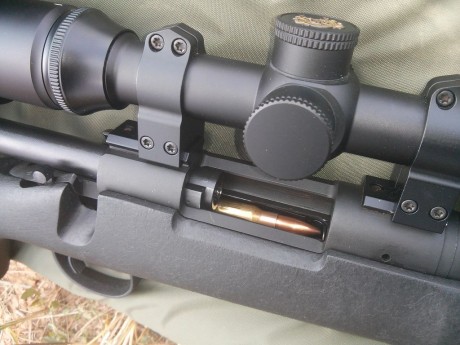 Poseo un Remintong 700 SPS en la série DG (dangerous game), en calibre 375HH, del cual sólo puedo decir 101