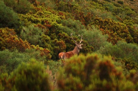 Este es un llamamiento para los foreros de Cantabria que no tenemos el gusto de conocernos en persona, 90
