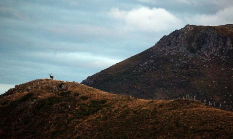 Este es un llamamiento para los foreros de Cantabria que no tenemos el gusto de conocernos en persona, 100