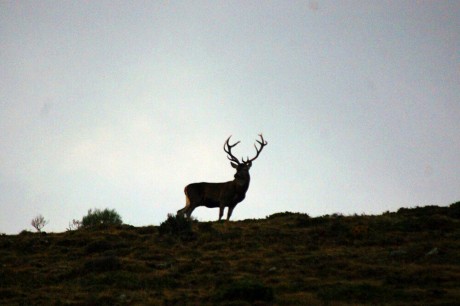 Este es un llamamiento para los foreros de Cantabria que no tenemos el gusto de conocernos en persona, 110