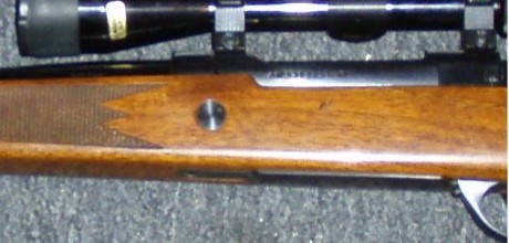 Hola.
Me tiene un poco intrigado una pieza, en los rifles que estoy mirando. Unos la llevan y otros no. 00