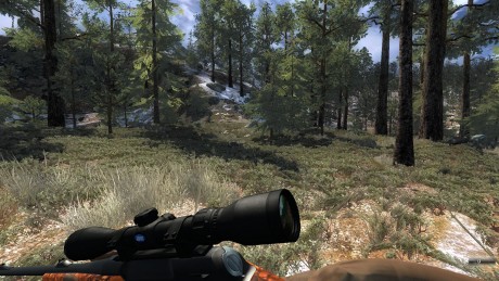 Excelente juego on line de caza,y gratuito.
Saludos cazadores 01