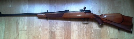 Buenas 
Necesito de vuestra experiencia. Tengo pensado adquirir un rifle 270w o 7x64 para rececho (solo 141