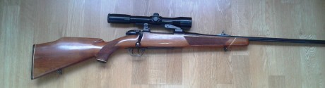 Buenas 
Necesito de vuestra experiencia. Tengo pensado adquirir un rifle 270w o 7x64 para rececho (solo 152