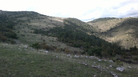 ALMUERZOS DE CAZA MENOR NO CUENTAN Y LOS ABATES SIN FOTO 

Voy a recordar las normas y asi los nuevos 171